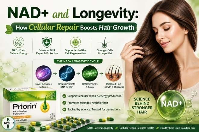 NAD+ and Longevity
